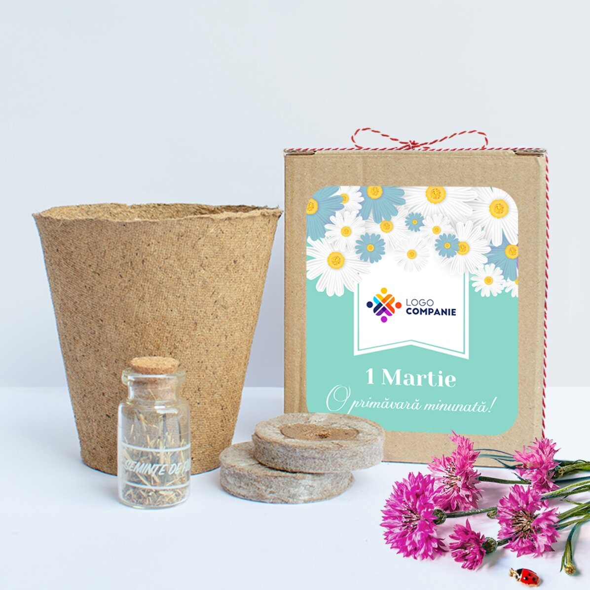 Kit de plantation de fleurs de printemps dans une petite boîte personnalisée avec logo et message -