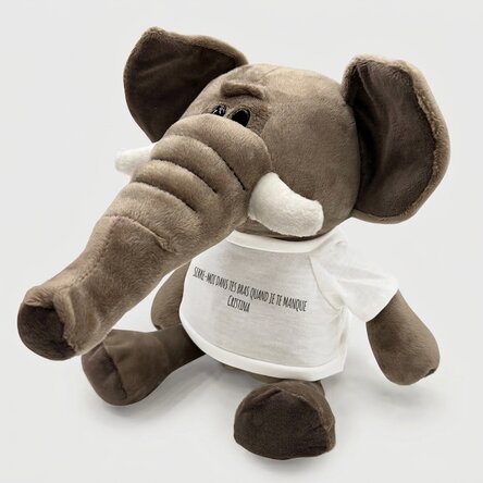 Peluche éléphant personnalisée avec un message