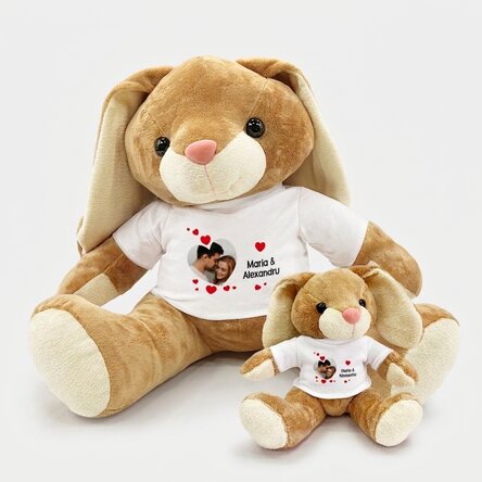 Plus : un lapin personnalisé avec une photo et un message d'amour
