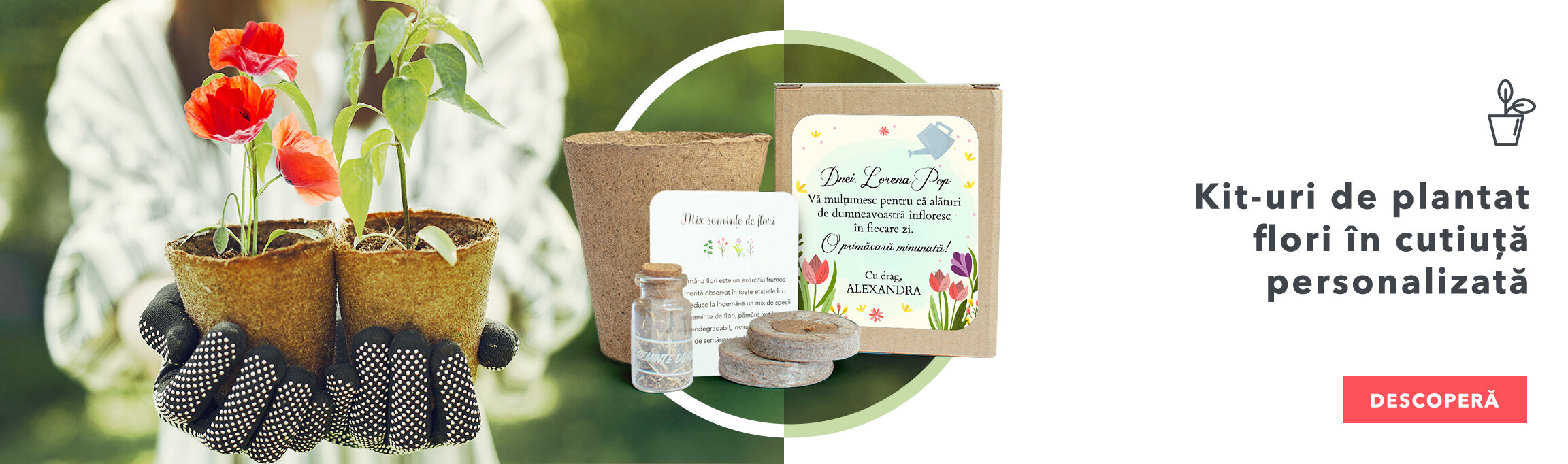 Kits de plantation de fleurs dans une boîte personnalisée