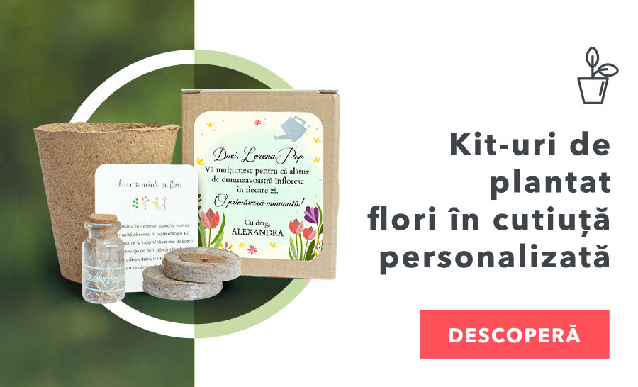 Kits de plantation de fleurs dans une boîte personnalisée
