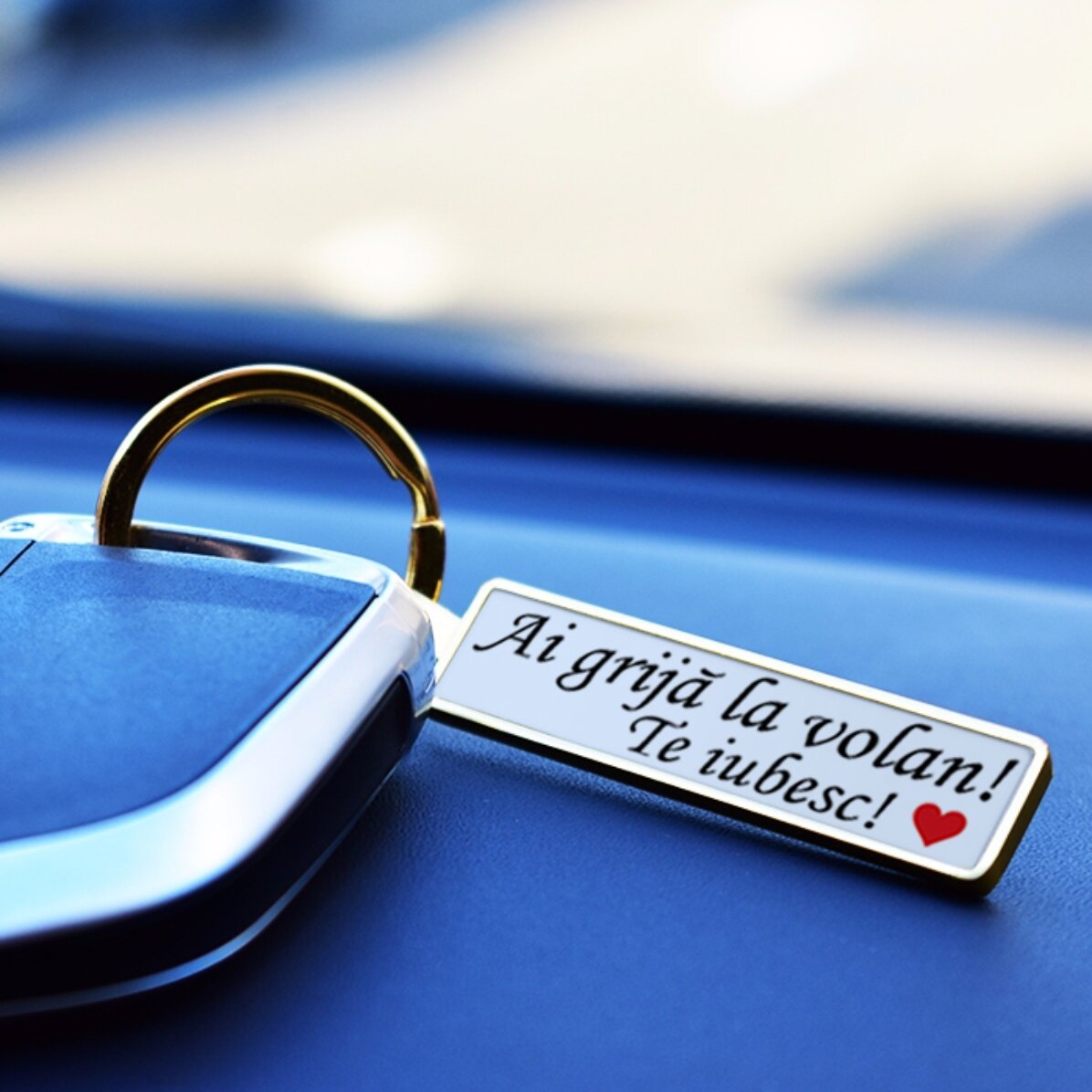 Porte-clés réplique de plaque d