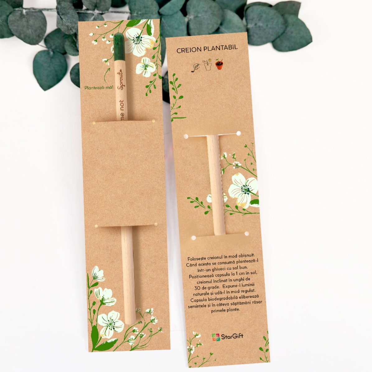 Crayon plantable personnalisé avec un message de remise des diplômes - Merci