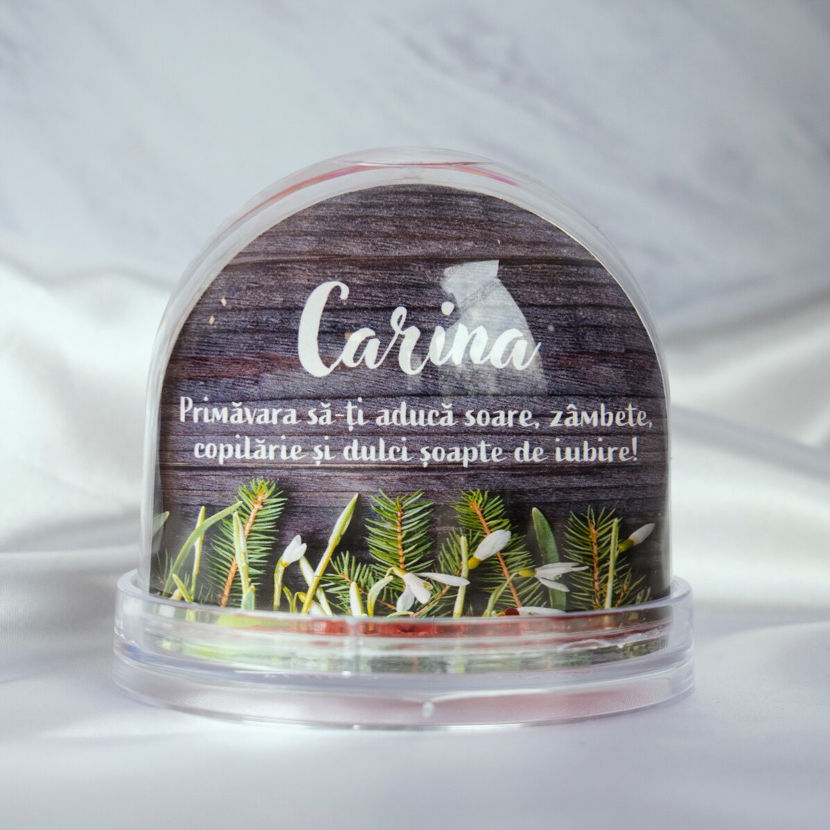 Globe de bureau personnalisé avec photo et texte - Chuchotements d