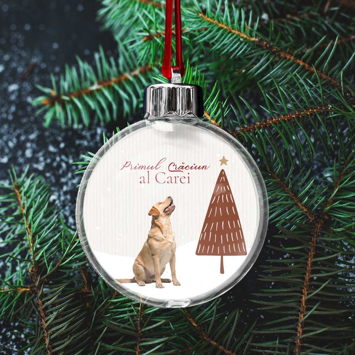 Boule de Noël transparente personnalisée recto-verso avec une photo et un message - Premier Noël poi