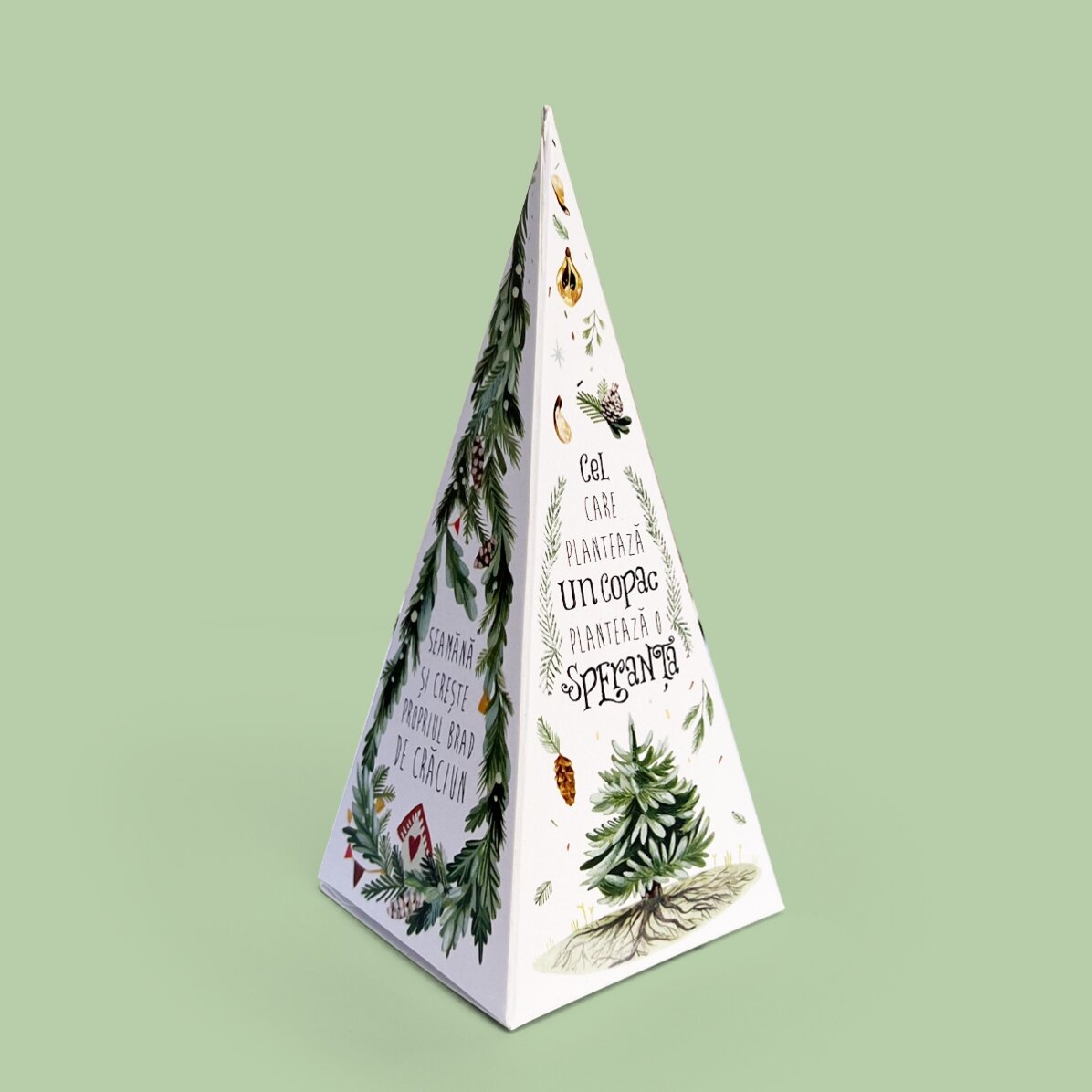 Kit de plantation de sapin personnalisé avec logo et message - Joyeux Noël