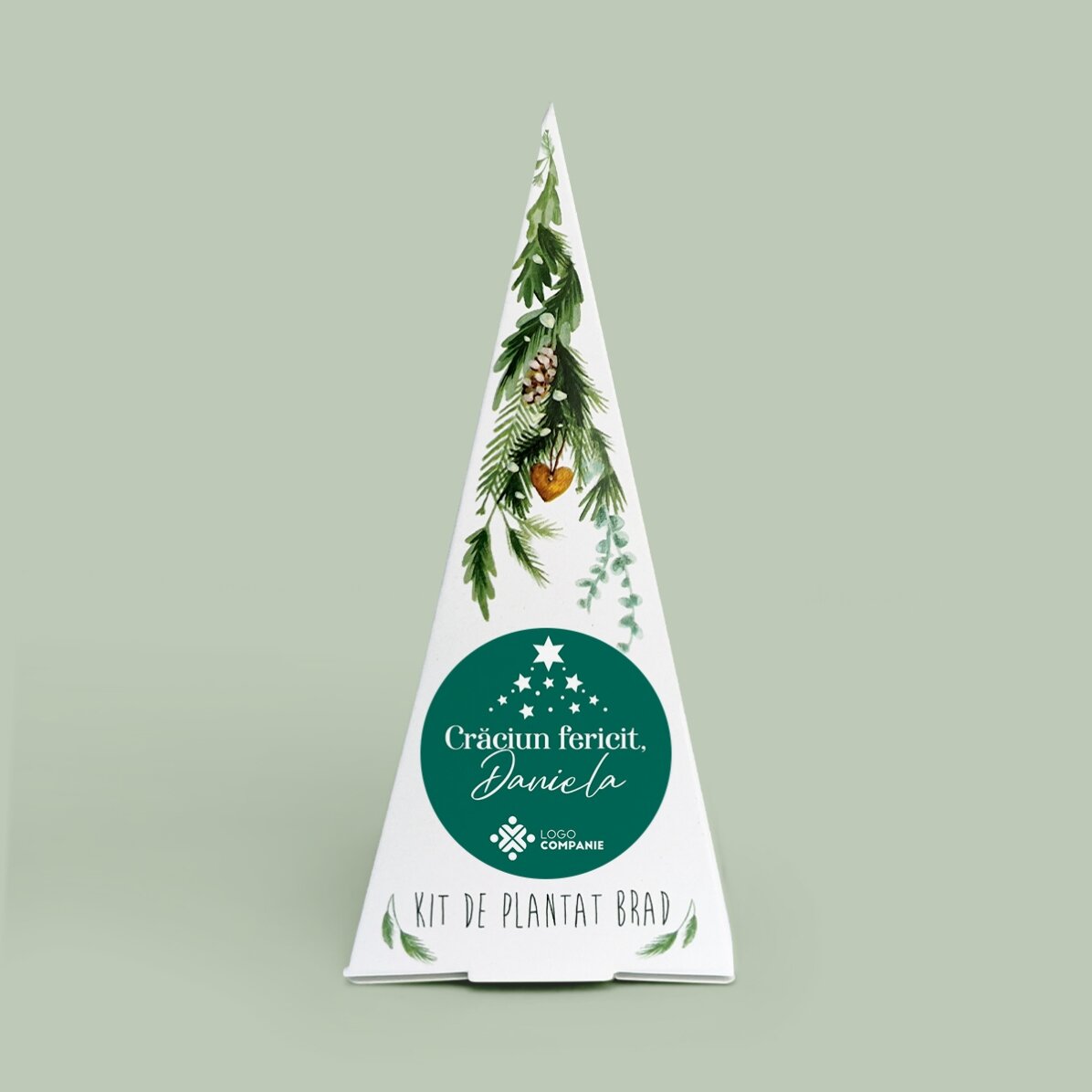 Kit de plantation de sapin personnalisé avec logo et message
