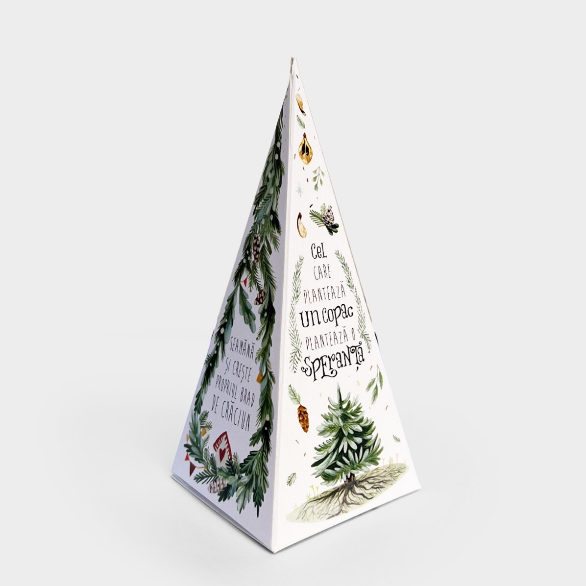 Kit de plantation de sapin personnalisé avec monogramme