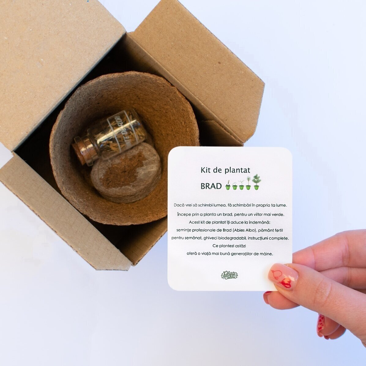 Kit pour planter des graines de sapin dans une petite boîte personnalisée avec une photo et un messa