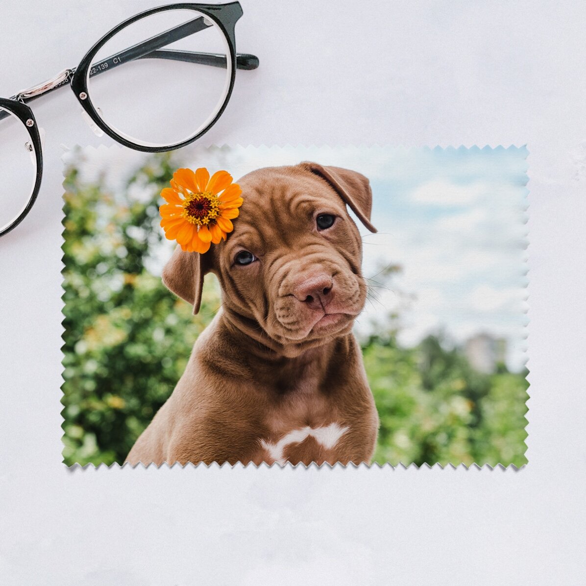 Chiffon personnalisé avec une photo, pour nettoyer les écrans et les lunettes