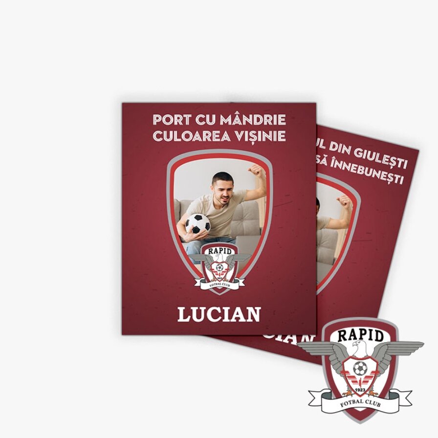 Aimants personnalisés sous licence officielle - FC Rapid 1923