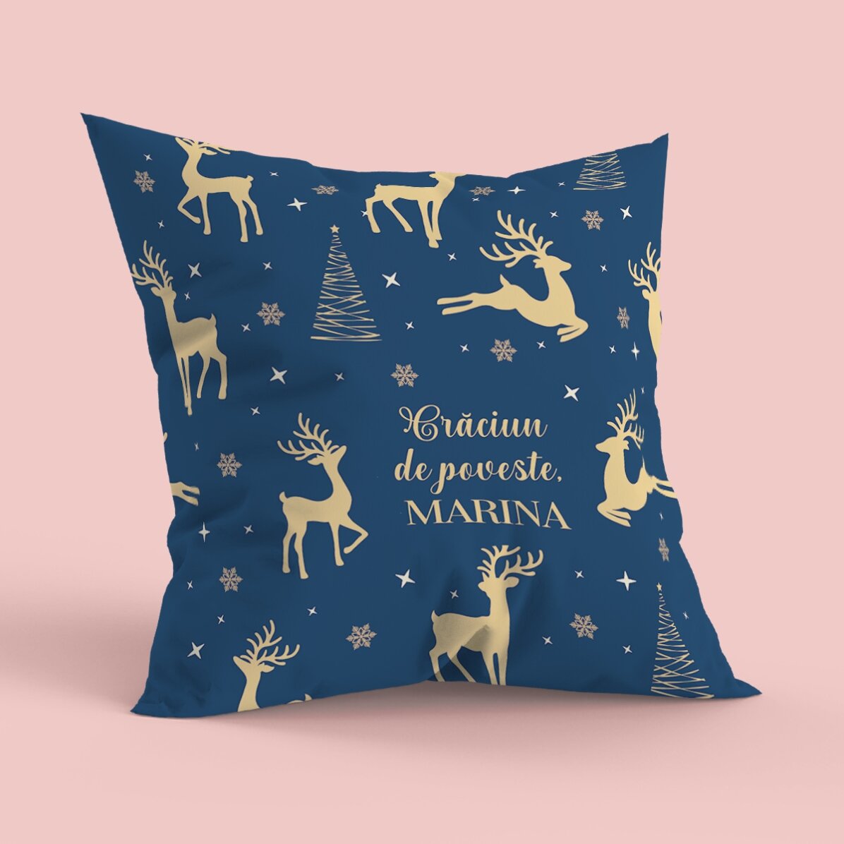 Coussin personnalisé avec message - Reni