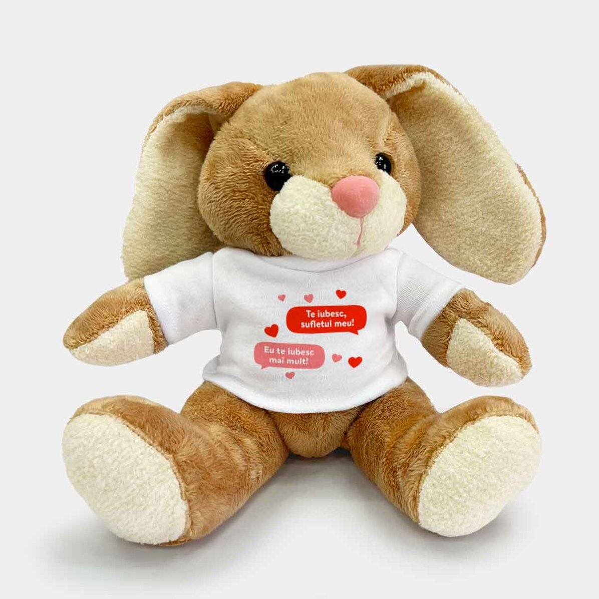 Lapin personnalisé avec texte - Messages d
