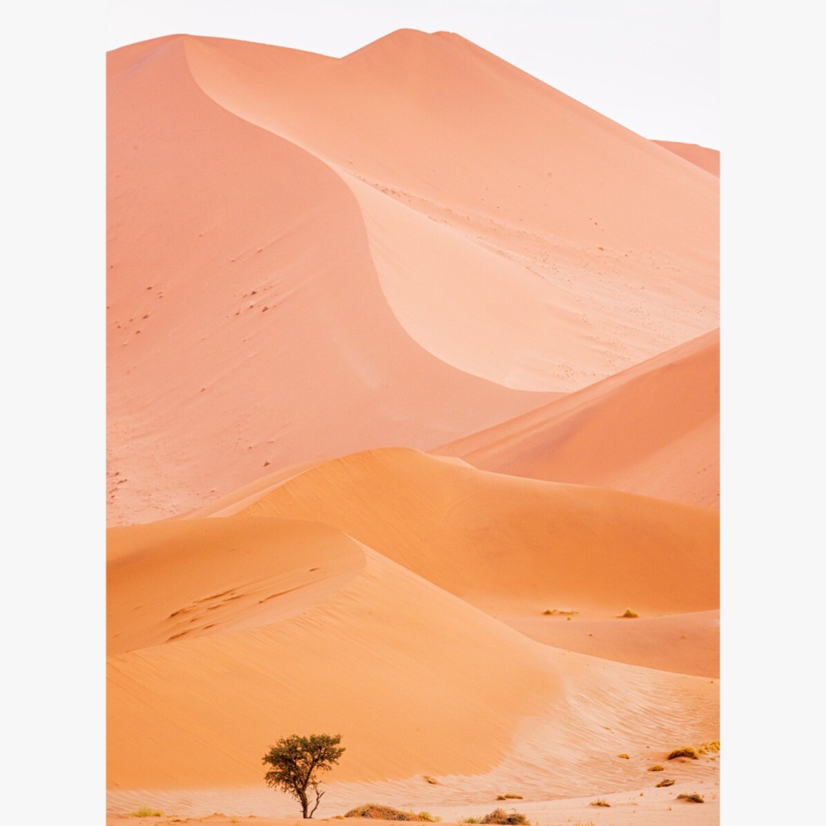Affiche « Dunes »