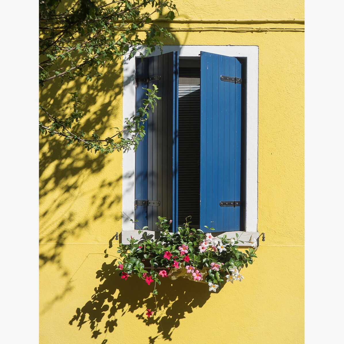 Affiche « La fenêtre bleue aux fleurs »