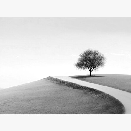 Affiche au format paysage - L'arbre solitaire