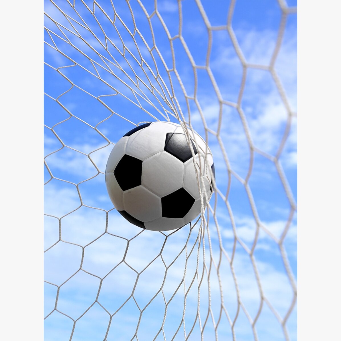 Affiche « Le ballon dans les filets »