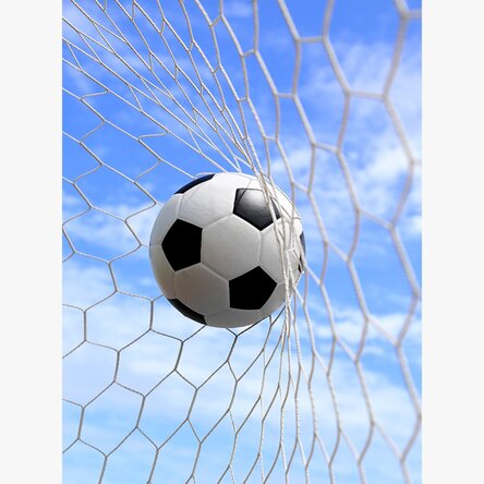 Affiche « Le ballon dans les filets »