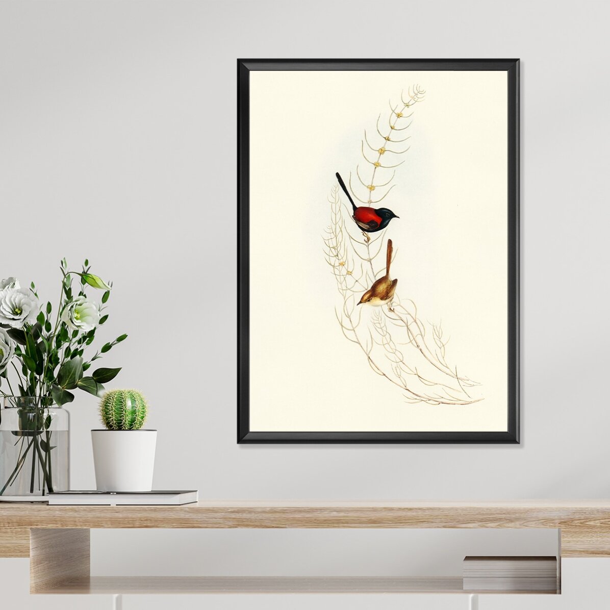 Affiche « Oiseaux colorés sur une branche »