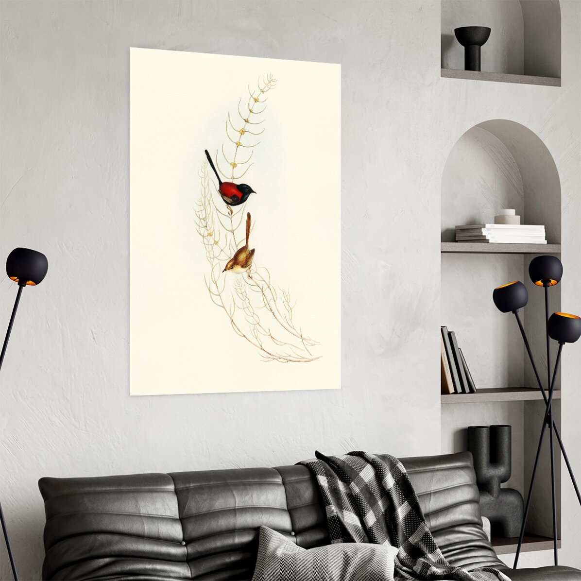 Affiche « Oiseaux colorés sur une branche »