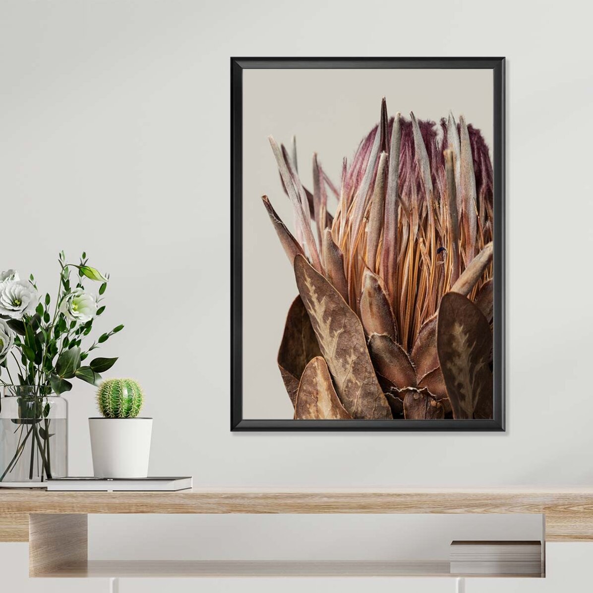 Affiche « Protea rose »