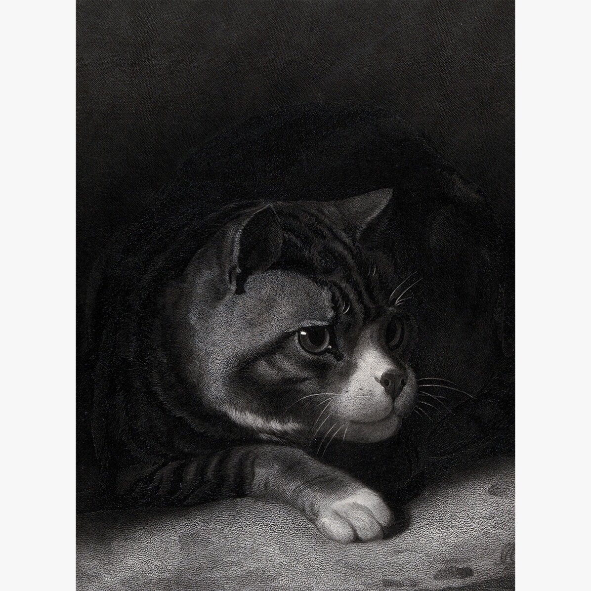 Affiche de William Gil, « Le chat vigilant scrutant les ombres », 1855