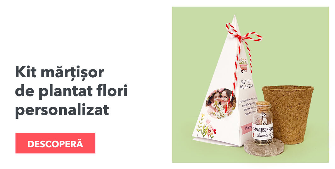 Kits personnalisés pour planter des fleurs en forme de pyramide