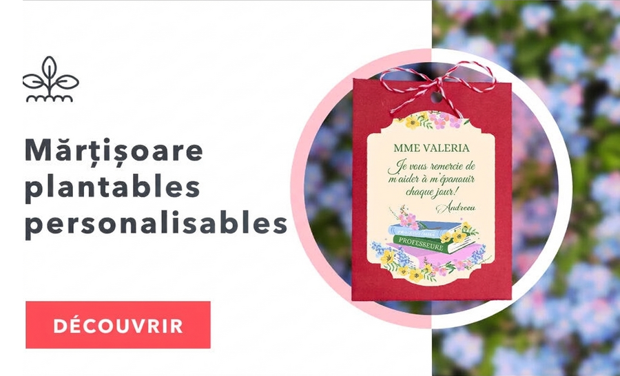 Martisoare à planter