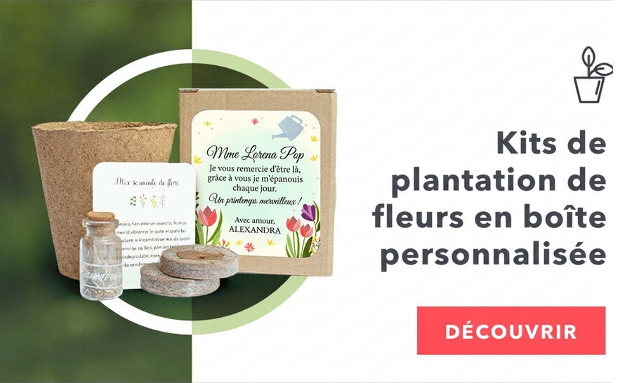 Kits de plantation de fleurs dans une boîte personnalisée