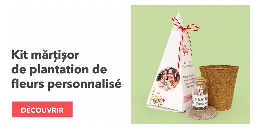 Kits personnalisés pour planter des fleurs en forme de pyramide