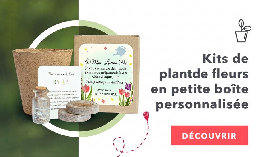 Kits de plantation de fleurs dans une boîte personnalisée