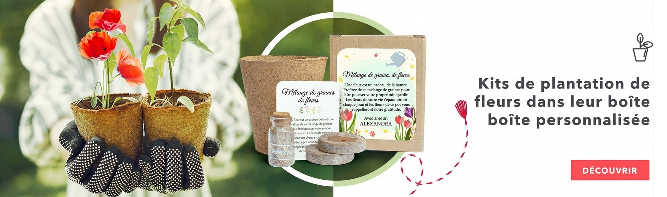 Kits de plantation de fleurs dans une boîte personnalisée