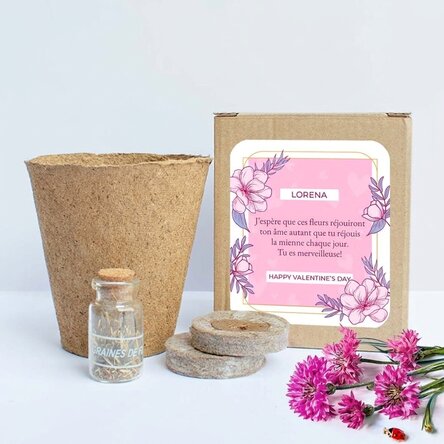 Kit pour planter des fleurs de printemps dans une petite boîte personnalisée avec le message « Je t'