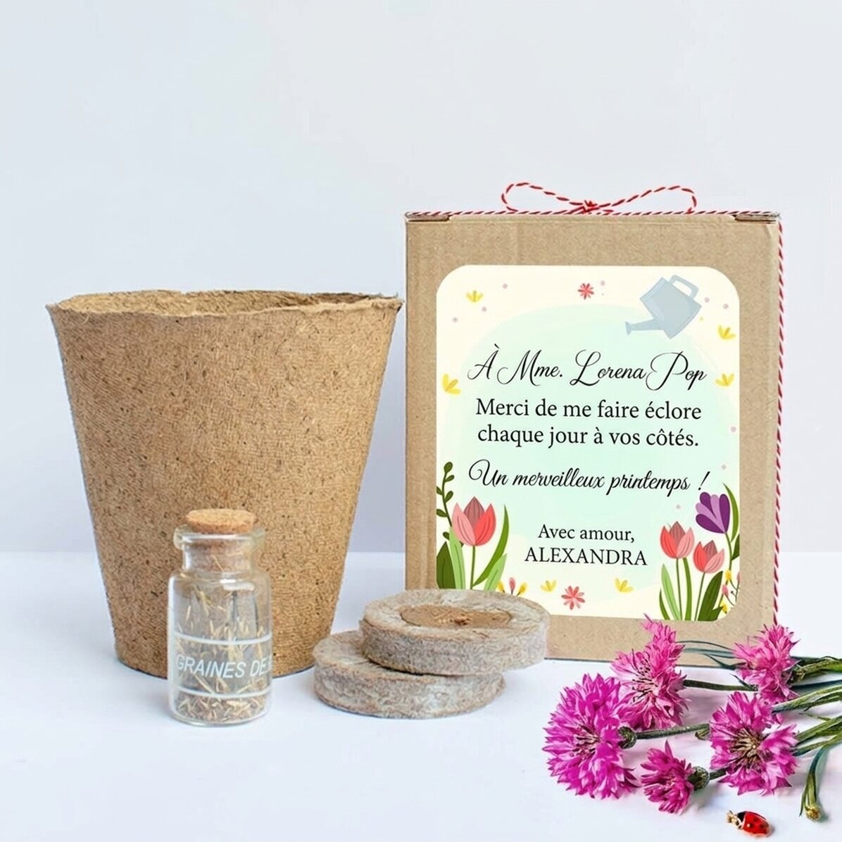 Kit de plantation de fleurs de printemps dans une petite boîte personnalisée avec un message pour la