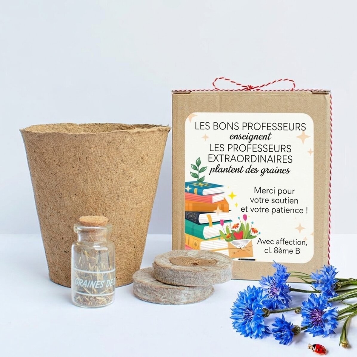 Kit pour planter des fleurs de printemps dans une petite boîte personnalisée avec un message pour la