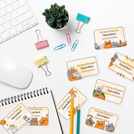 Lot de 8 autocollants (étiquettes adhésives) personnalisés pour l'école avec texte - Kittens