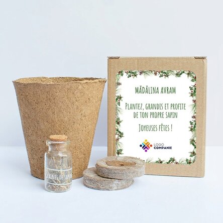 Kit de plantation de graines de sapin dans une petite boîte personnalisée avec logo et message - Cre
