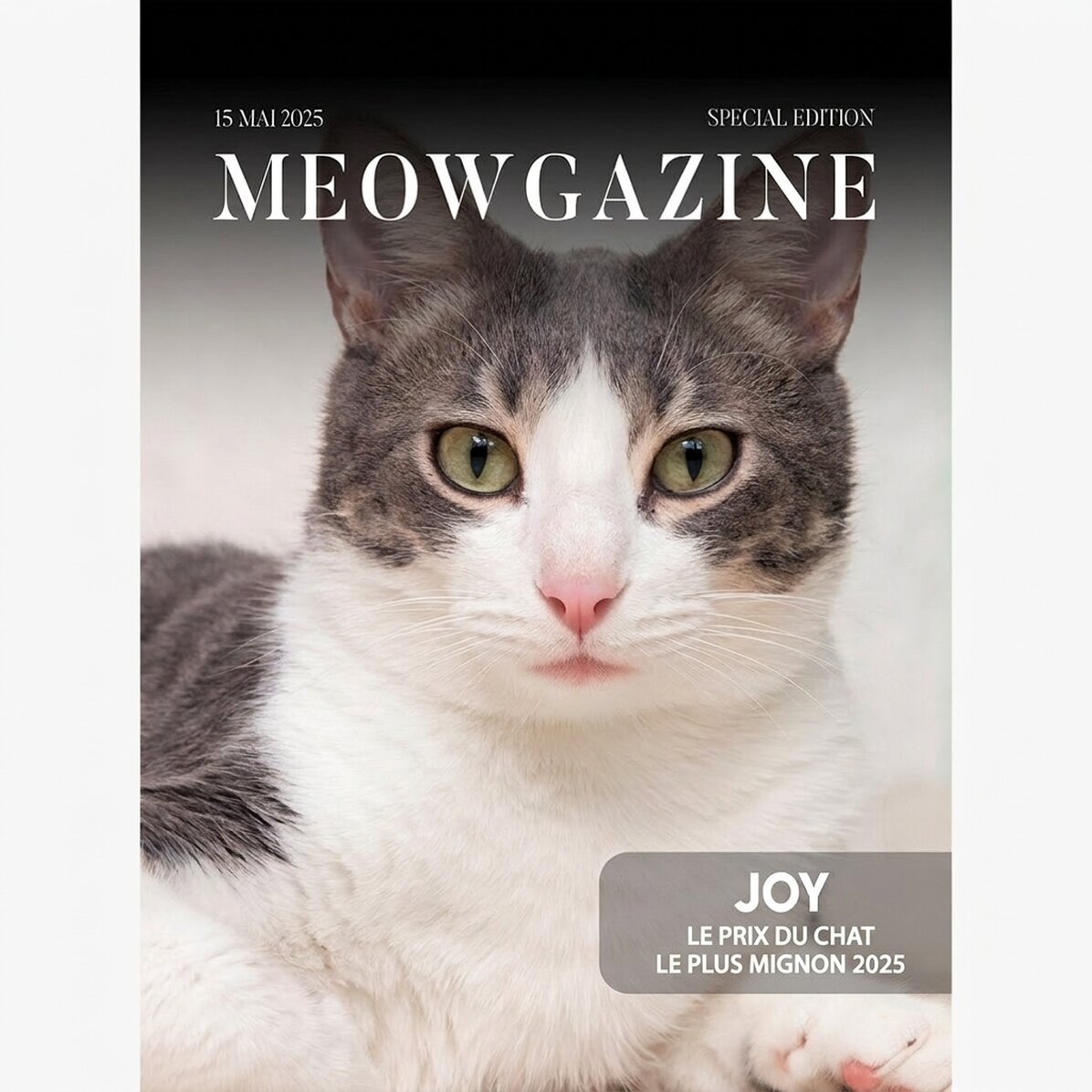 Affiche personnalisée avec photo et texte - Meowgazine